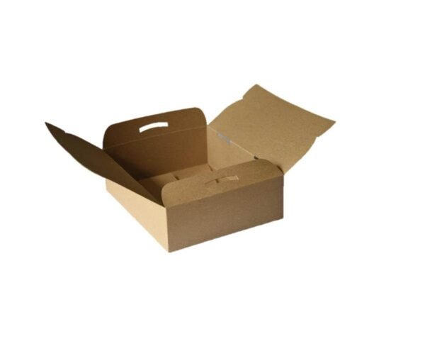 Caja Delivery 2 Combos (250 X 205 X 75) X 50 U