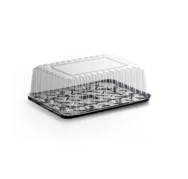Porcion Torta Zaplast 19 T/A (24 X 11 X10) X 10 U