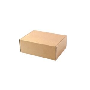 Caja Microcorrugado Delivery 4 (39 X 16.5 X 6) X U